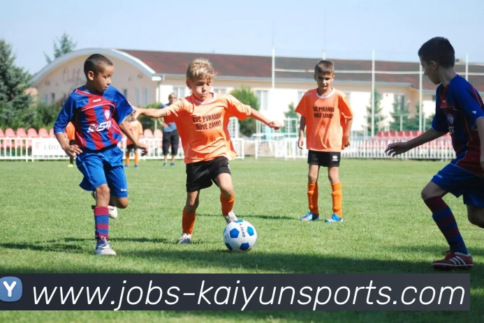 开云体育服务体系